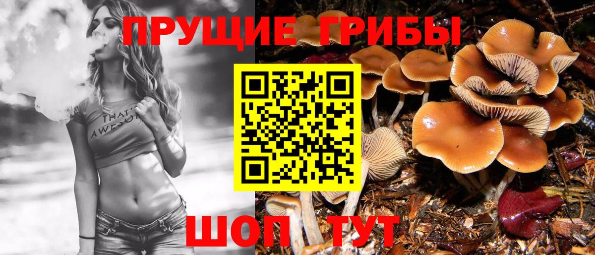 Псилоцибиновые грибы GOLDEN TEACHER Ессентуки