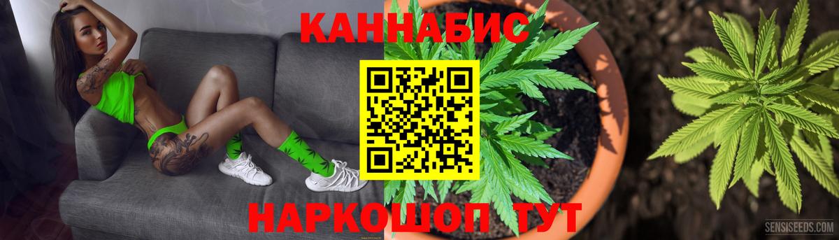 Шишки марихуана конопля  Канабис сатива  Ессентуки  Шишки марихуана план  Вход с VPN 